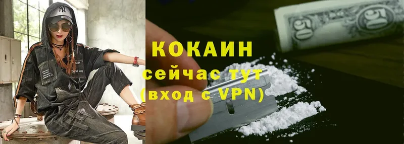 где купить   Аркадак  Cocaine Fish Scale 